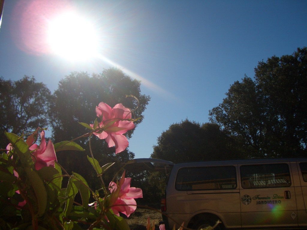 Web Actualizada Welcome&nbsp;2014!!!